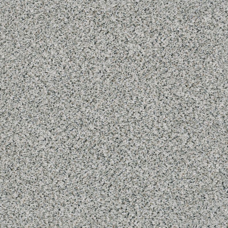 Shaw Floors Foundations Take The Floor Accent Blue Italiano