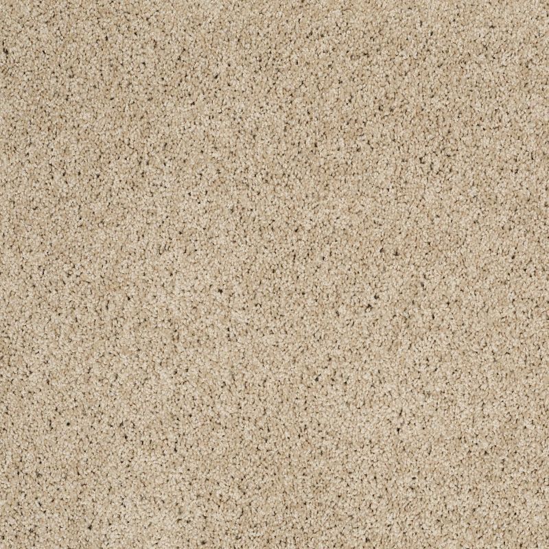 Shaw Floors Foundations Take The Floor Twist Blue Suitable