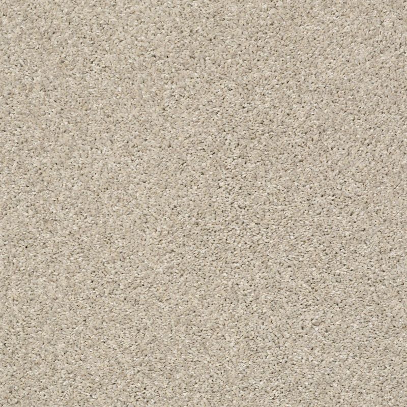 Shaw Floors Pet Perfect Plus Charmed Hues Antique White