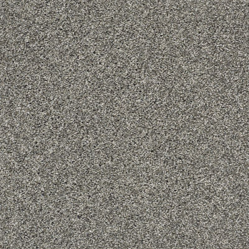 Shaw Floors Pet Perfect Plus Charmed Hues Warm Onyx