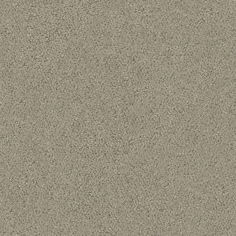 Shaw Floors Foundations Aerial View Artisan Taupe