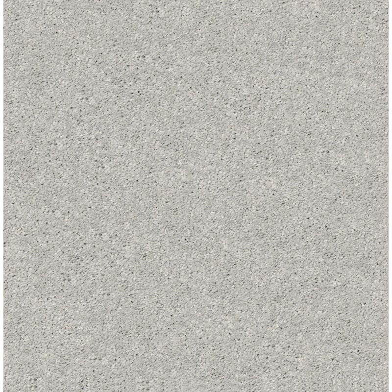 Shaw Floors Simply The Best After All II Shadow