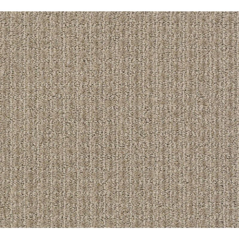 Shaw Floors Foundations Aerial Arts Net Burnished Clay