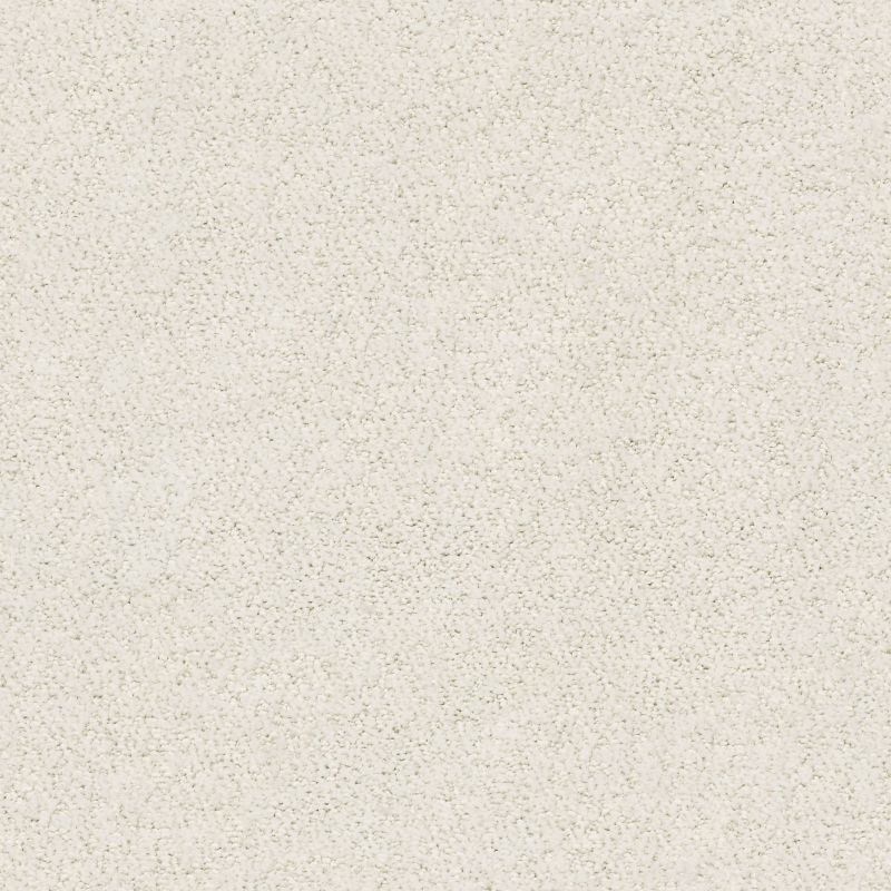 Shaw Floors Foundations Aerial View Net Cotton