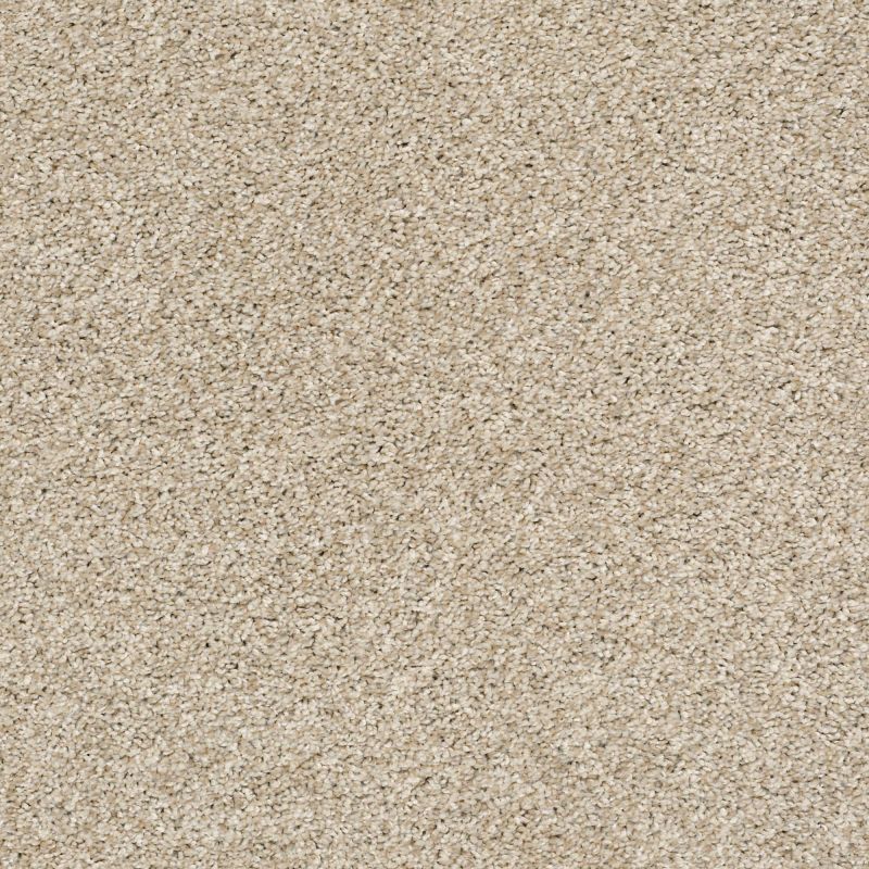 Shaw Floors Pet Perfect Plus Charmed Hues Net Biscotti