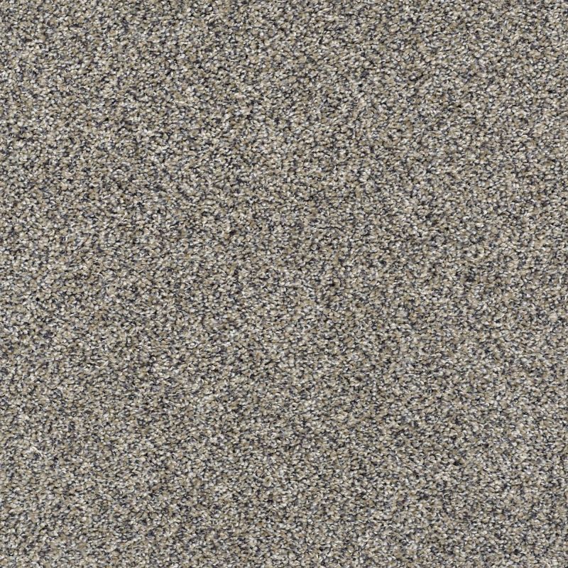 Shaw Floors Pet Perfect Plus Charmed Hues Net Castle