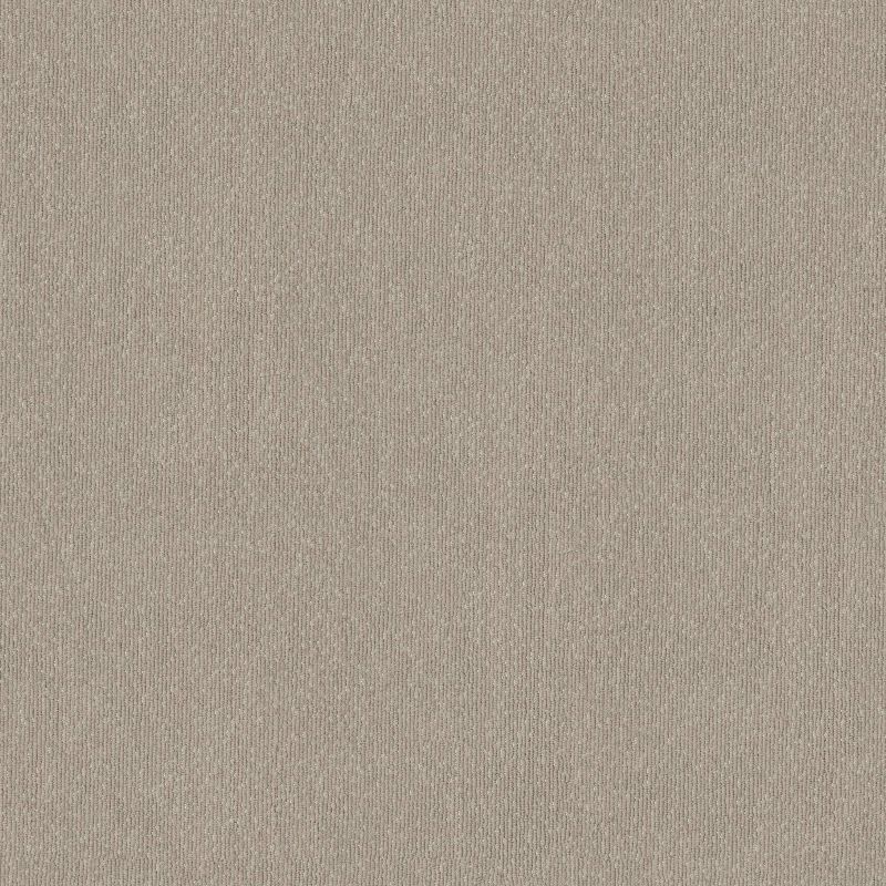 Shaw Floors Caress By Shaw Tranquil Waters Net Buff