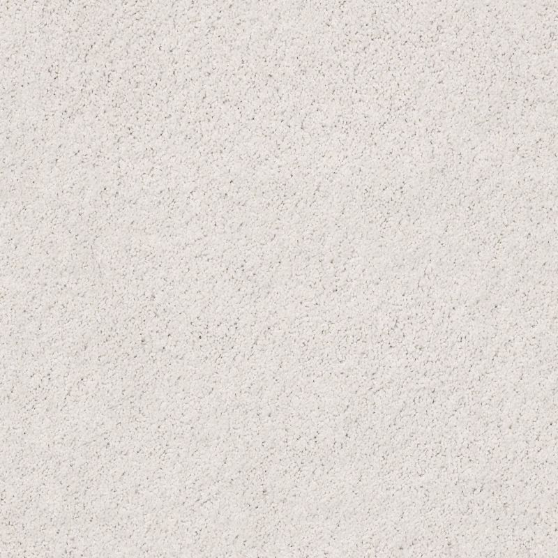 Shaw Floors Foundations Take The Floor Twist I Net Dove