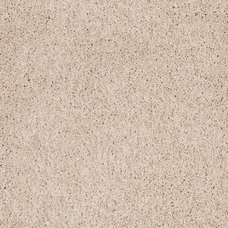 Shaw Floors Foundations Take The Floor Twist II Net Patience