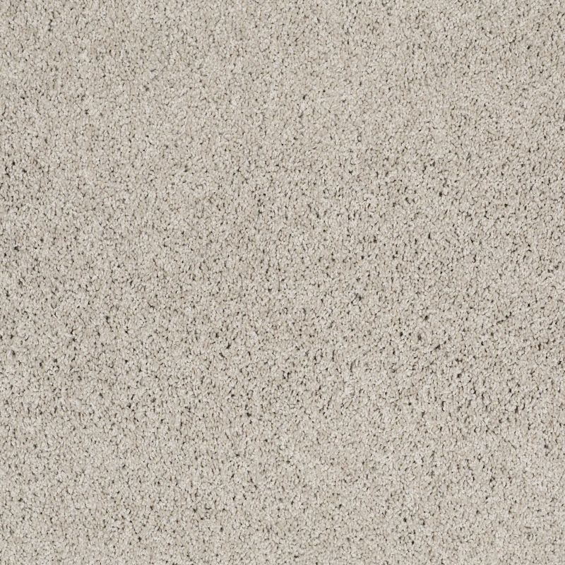 Shaw Floors Foundations Take The Floor Twist II Net Pebble Path