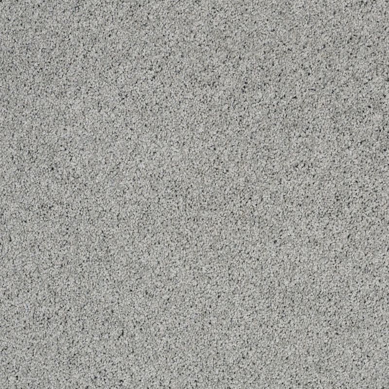 Shaw Floors Foundations Take The Floor Twist II Net Pewter