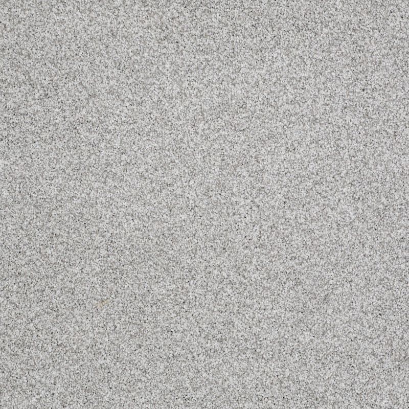 Shaw Floors Foundations Take The Floor Tonal II Net Mystic