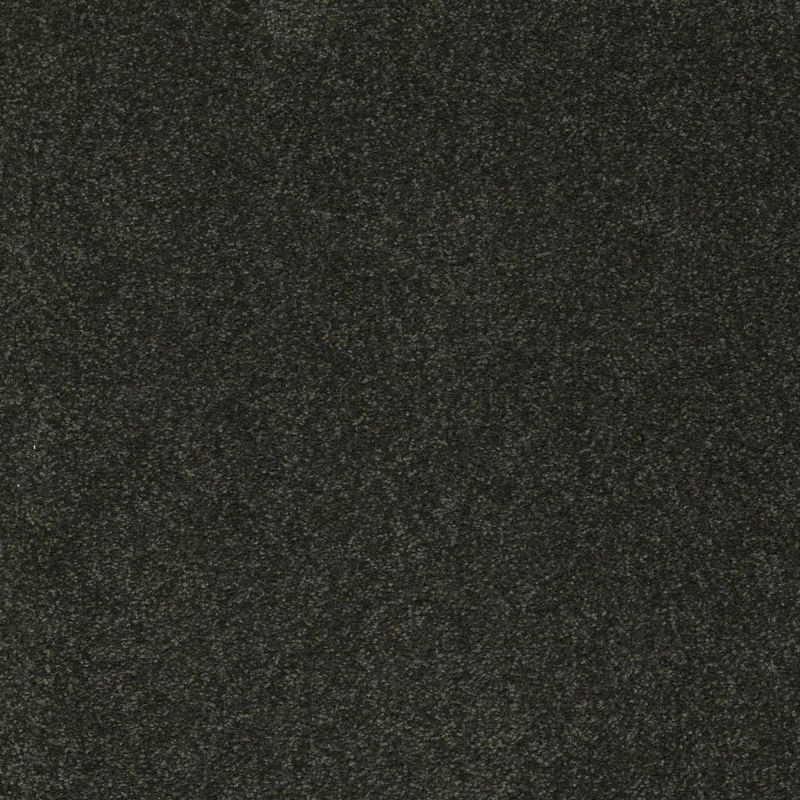 Shaw Floors Value Collections Sandy Hollow Classic I 12 Net Lilly Pad