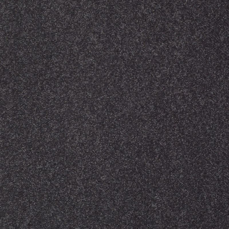 Shaw Floors Value Collections Sandy Hollow Classic I 12 Net Dutch Boy