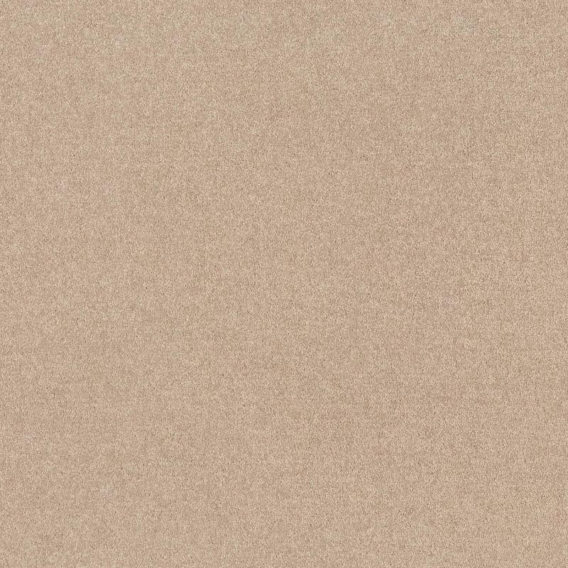 Shaw Floors Value Collections Knockout II 12 Net Gentle Breeze