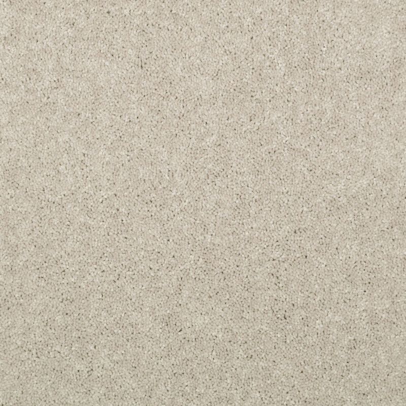 Shaw Floors Value Collections Knockout II 12 Net Granola