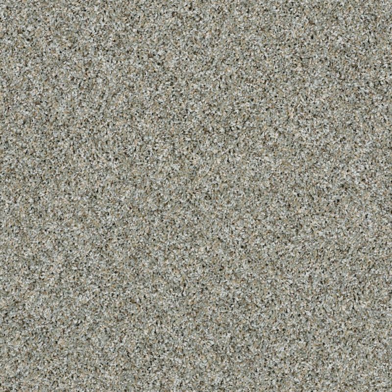 Shaw Floors Simply The Best Absolutely It Net Winter Chill