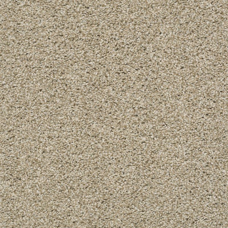 Shaw Floors Value Collections Poised Net Cork