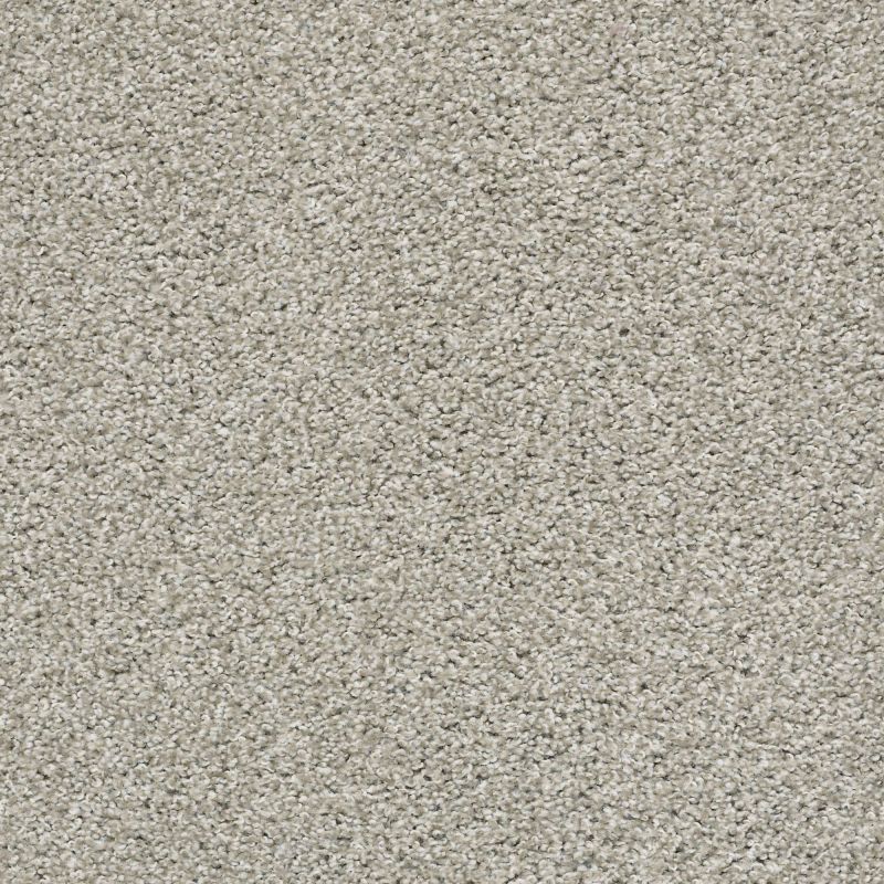 Shaw Floors Value Collections Poised Net Winter Birch