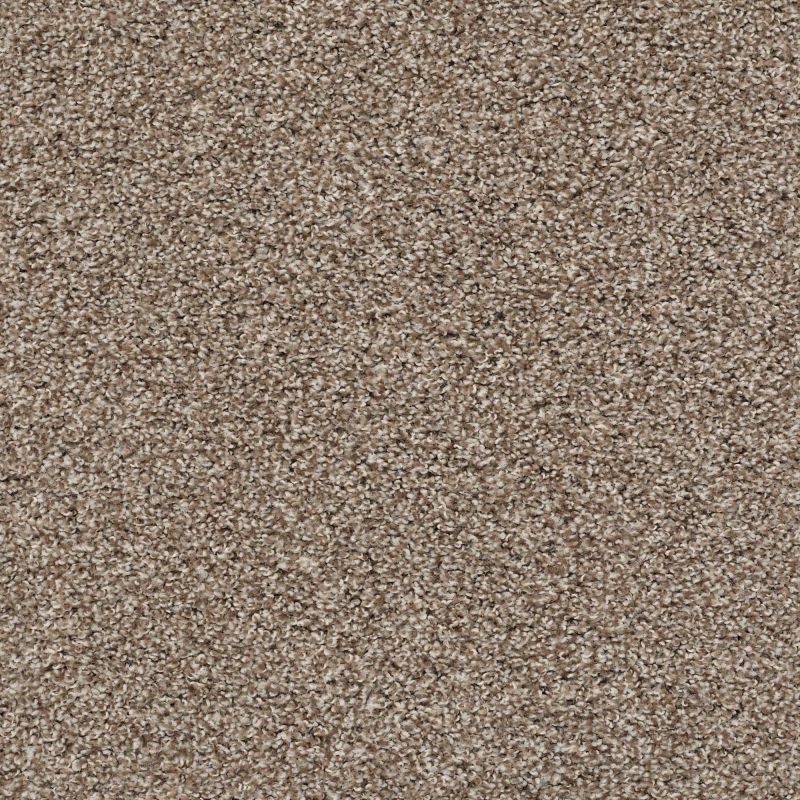 Shaw Floors Value Collections Poised Net Brown Sugar