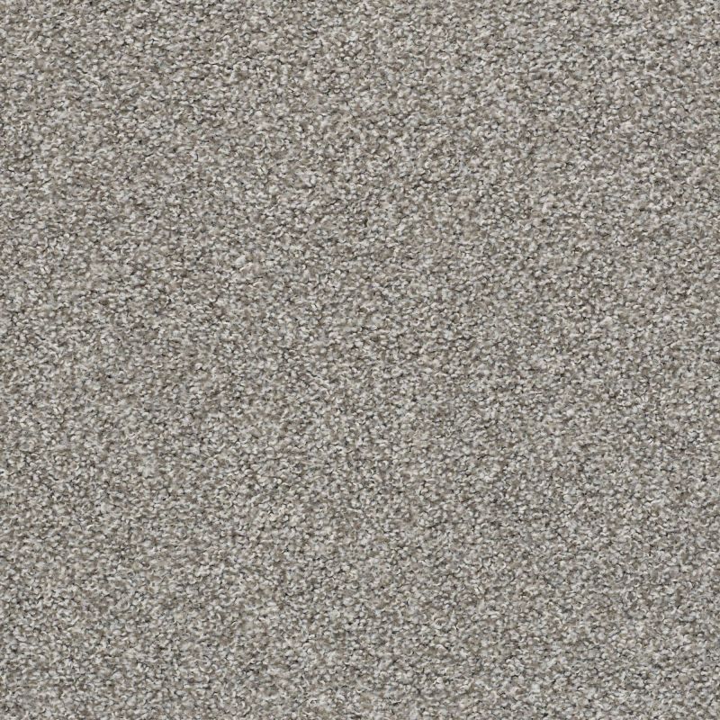 Shaw Floors Value Collections Poised Net Flannel Gray