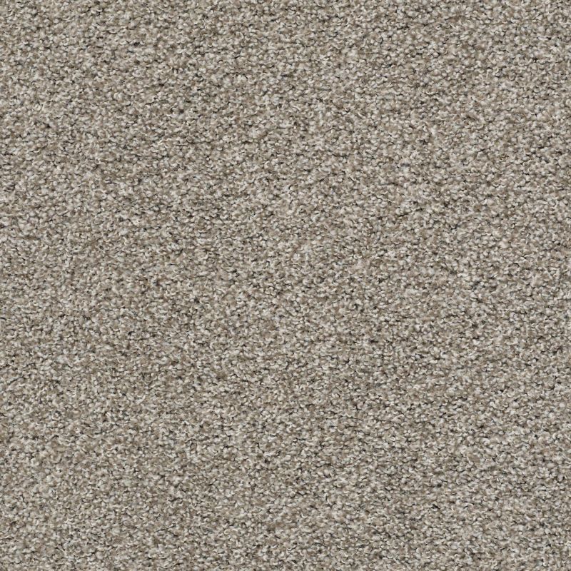 Shaw Floors Value Collections Poised Net Studio Loft