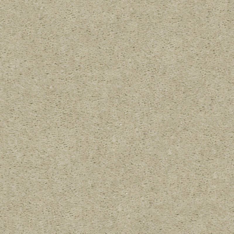 Shaw Floors Value Collections Zipp Net Muslin