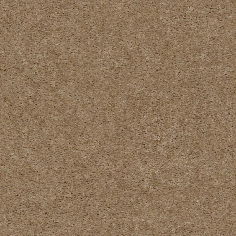 Shaw Floors Value Collections Zipp Net Xanthia