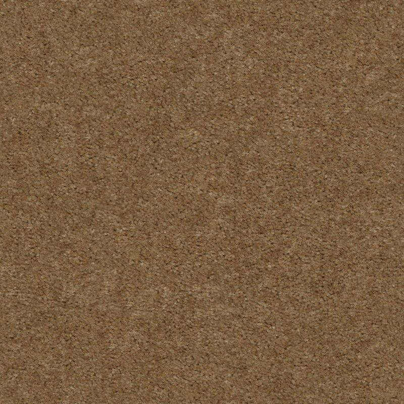 Shaw Floors Value Collections Zipp Net Parsnip