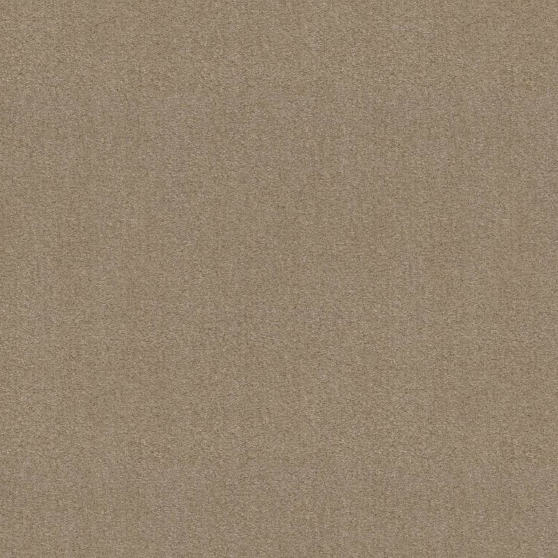 Shaw Floors Value Collections Zipp Plus Net Stone