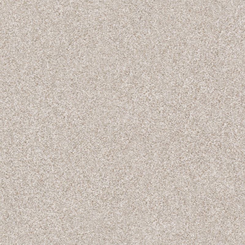 Shaw Floors Simply The Best Make It Mine II Desert Light