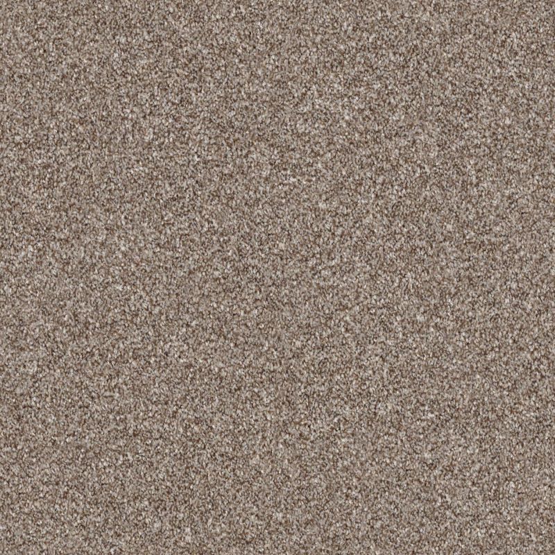 Shaw Floors Simply The Best Make It Mine II Fox Hollow