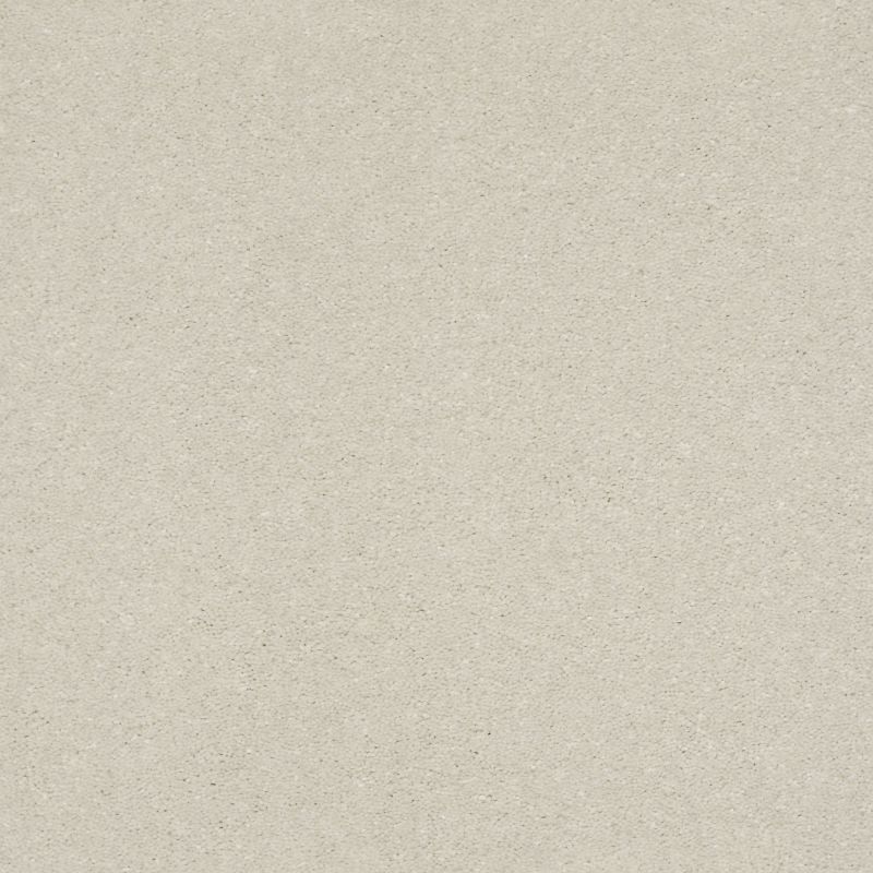 Shaw Floors Simply The Best Solidify III 12' Minimalist