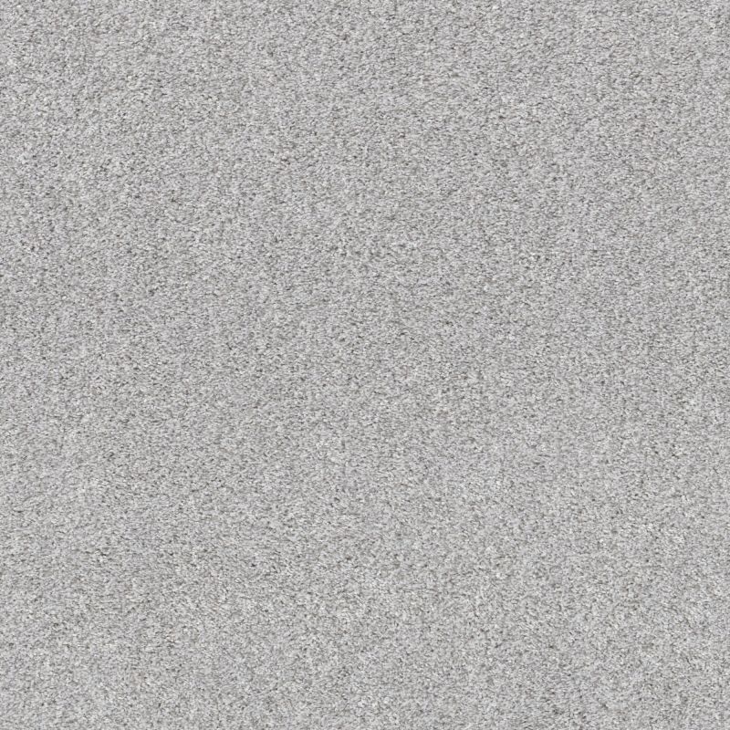 Shaw Floors Pet Perfect Plus Calm Serenity I English Streets