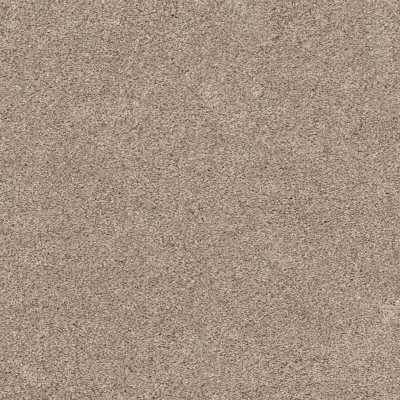 Shaw Floors Pet Perfect Plus Calm Serenity II Washed Linen