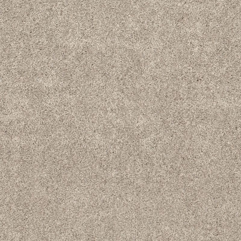 Shaw Floors Pet Perfect Plus Calm Serenity II Kidskin