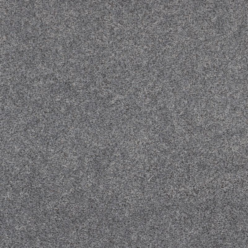 Shaw Floors Pet Perfect Plus Calm Serenity II Stormy Breeze