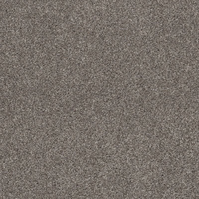 Shaw Floors Pet Perfect Plus Calm Simplicity II Newstone Haven