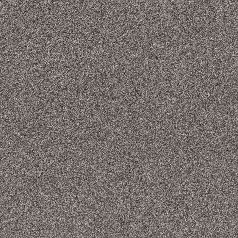 Shaw Floors Pet Perfect Plus Calm Simplicity II Harbor Dock