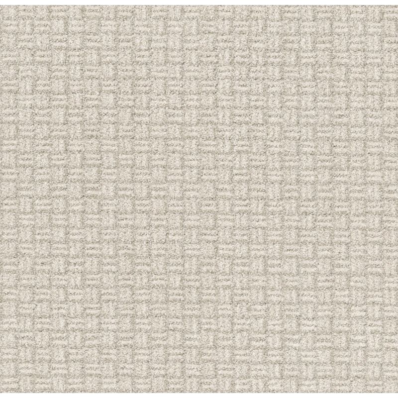 Shaw Floors Pet Perfect Plus Soothing Surround Washed Linen