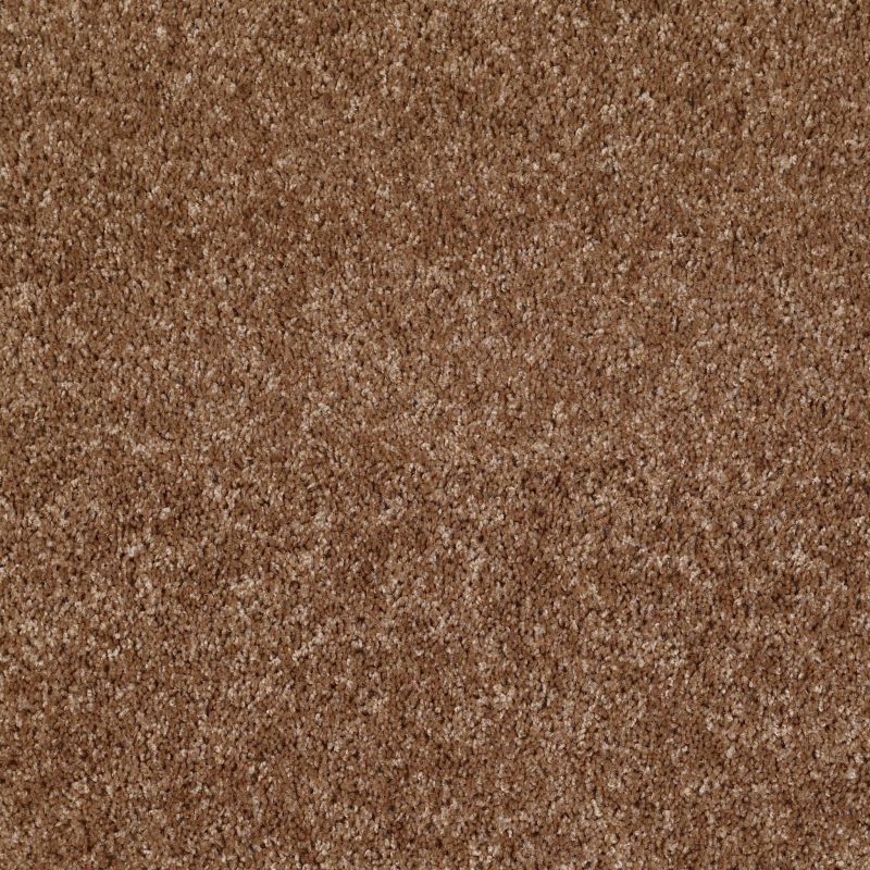 Shaw Floors Dreamin' Net Ridgecrest