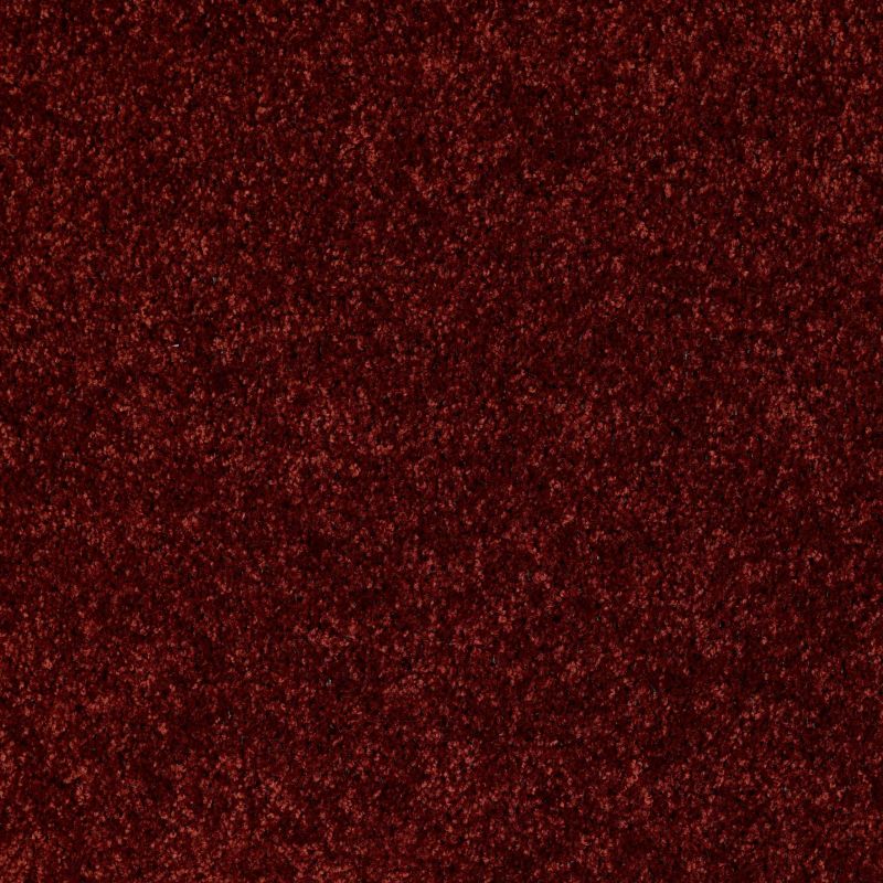 Shaw Floors Dreamin' Net Cayenne