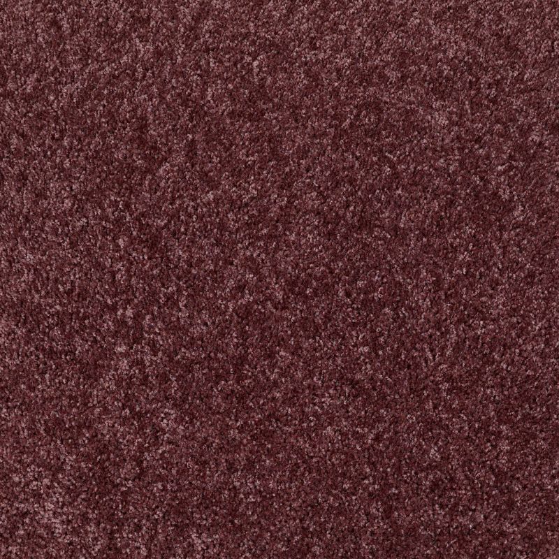 Shaw Floors Dreamin' Net Amethyst Sky