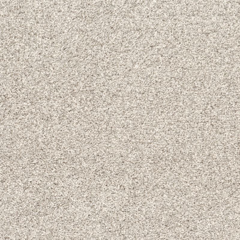 Shaw Floors Pet Perfect Plus Quiet Sanctuary Washed Linen