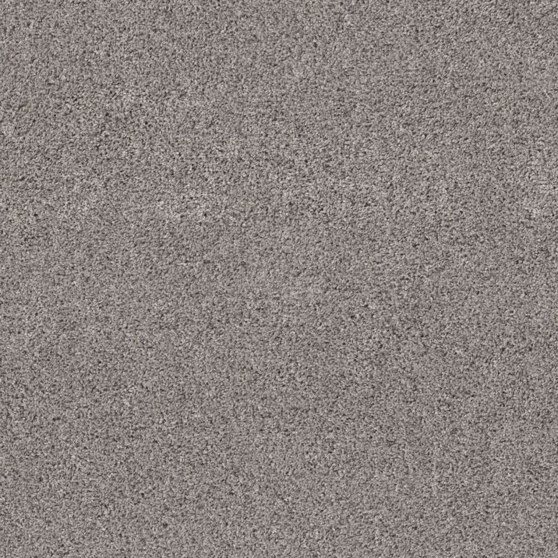 Shaw Floors Pet Perfect Plus Quiet Sanctuary River Run