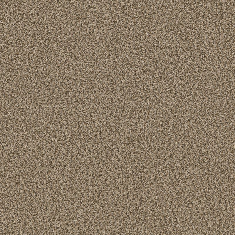 Shaw Floors Value Collections Break Away (b) Net Stepping Stone