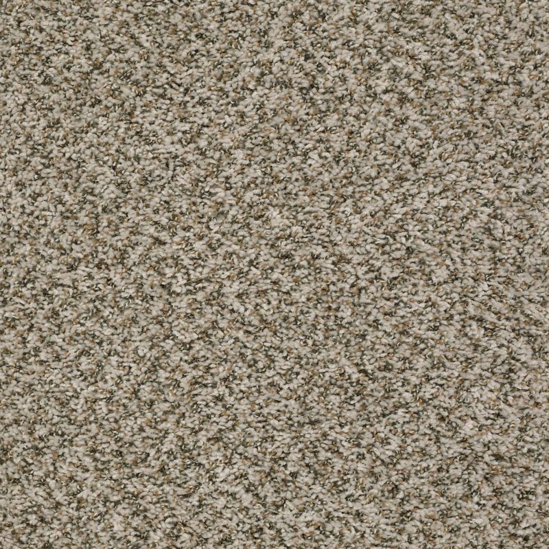 Shaw Floors Value Collections Break Away (b) Net Sugar Cookie