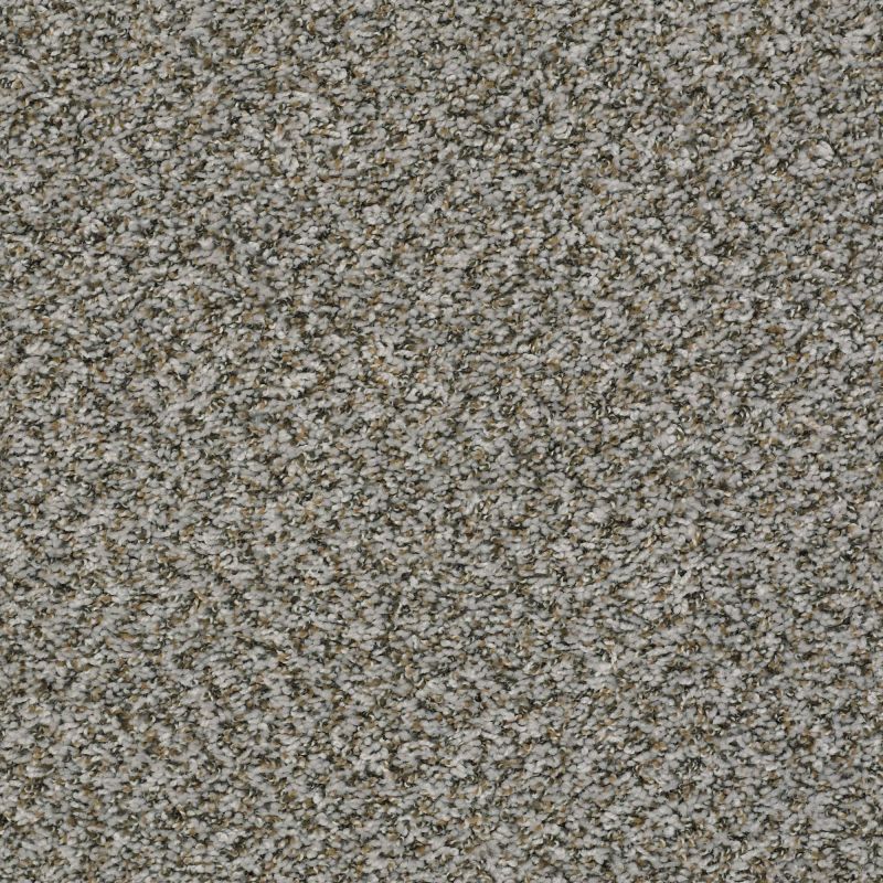 Shaw Floors Value Collections Break Away (b) Net Fossil