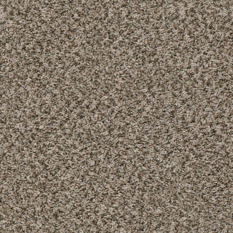 Shaw Floors Value Collections Break Away (b) Net Toast