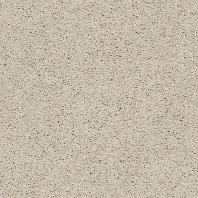 Shaw Floors Value Collections Break Away (s) Net Winter White